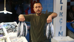 Palamut Fiyatlarında Dikkat Çeken Düşüş