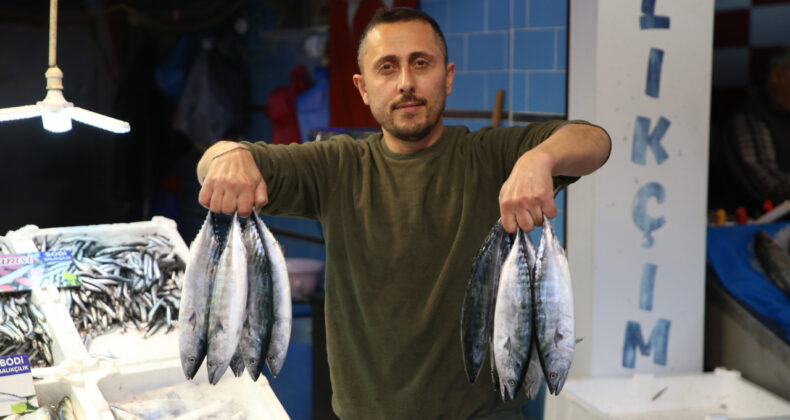 Palamut Fiyatlarında Dikkat Çeken Düşüş