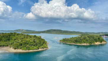 Petrol Tankerinde Yangın: 10 Ölü, 18 Yaralı