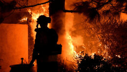 Prestijli dergiden kritik rapor: Her dakika bir can alıyor!