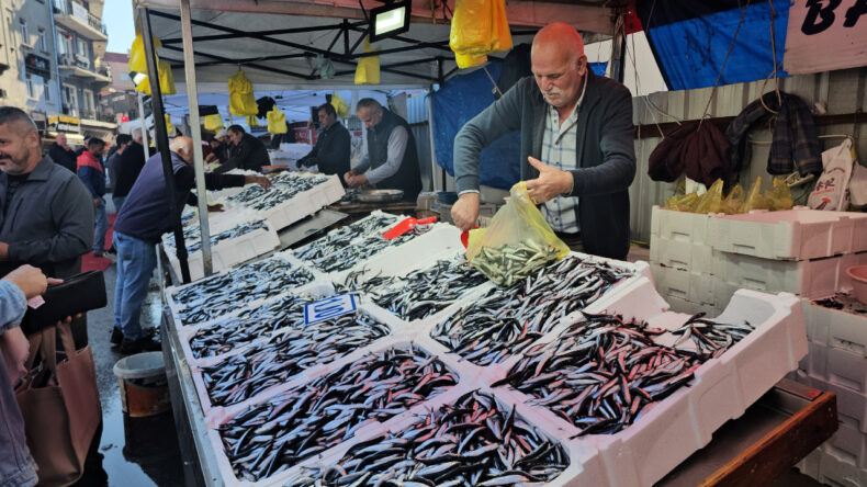 Rize'de Hamsi Bolluğu Yaşanıyor
