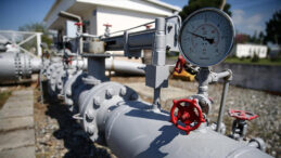 Rusya: Hindistan'a Petrol Arzımız Yüksek Seviyede