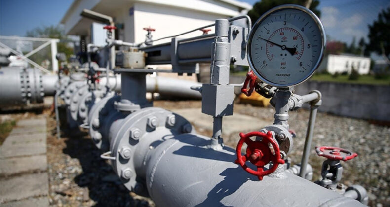 Rusya: Hindistan'a Petrol Arzımız Yüksek Seviyede