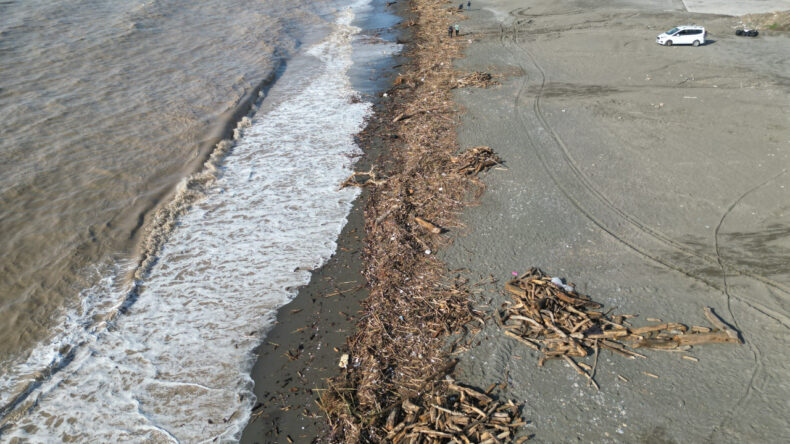 Sahile Vuran Binlerce Kütük, Akdeniz’in Rengini Değiştirdi