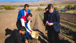 Sahtesine Dikkat: 1 Gramı 500 TL