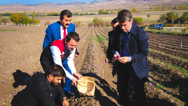 Sahtesine Dikkat: 1 Gramı 500 TL