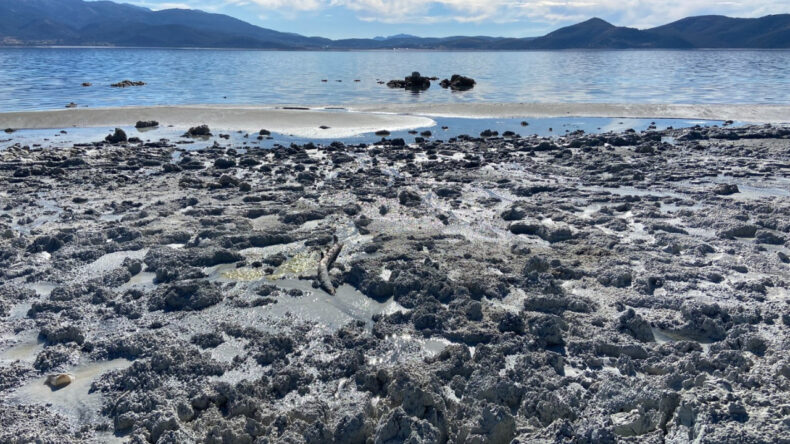 Salda G&ouml;l&uuml; İ&ccedil;in Uyarı: 'Risk Altındayız'