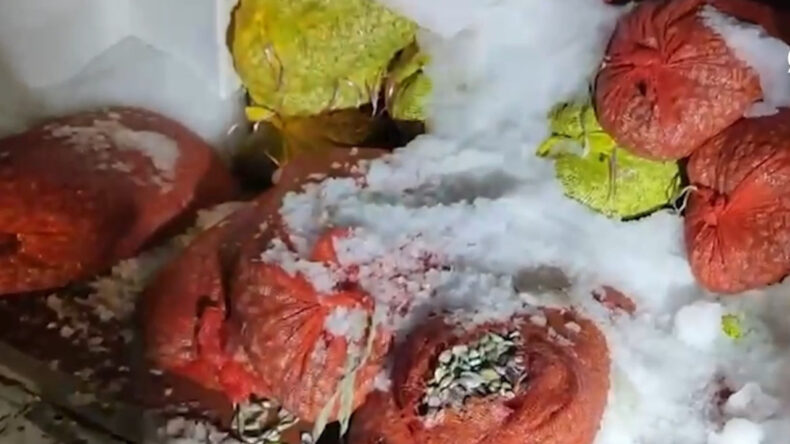 Samsun’da Kaçak Avlanan 2 Ton Midye Ele Geçirildi