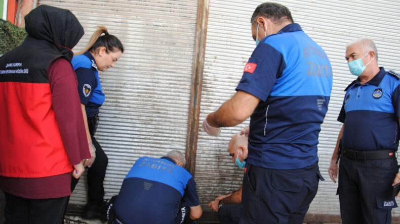 Şanlıurfa'da Çürümüş Et Skandalı: 1 Ton Bozuk Et Ele Geçirildi