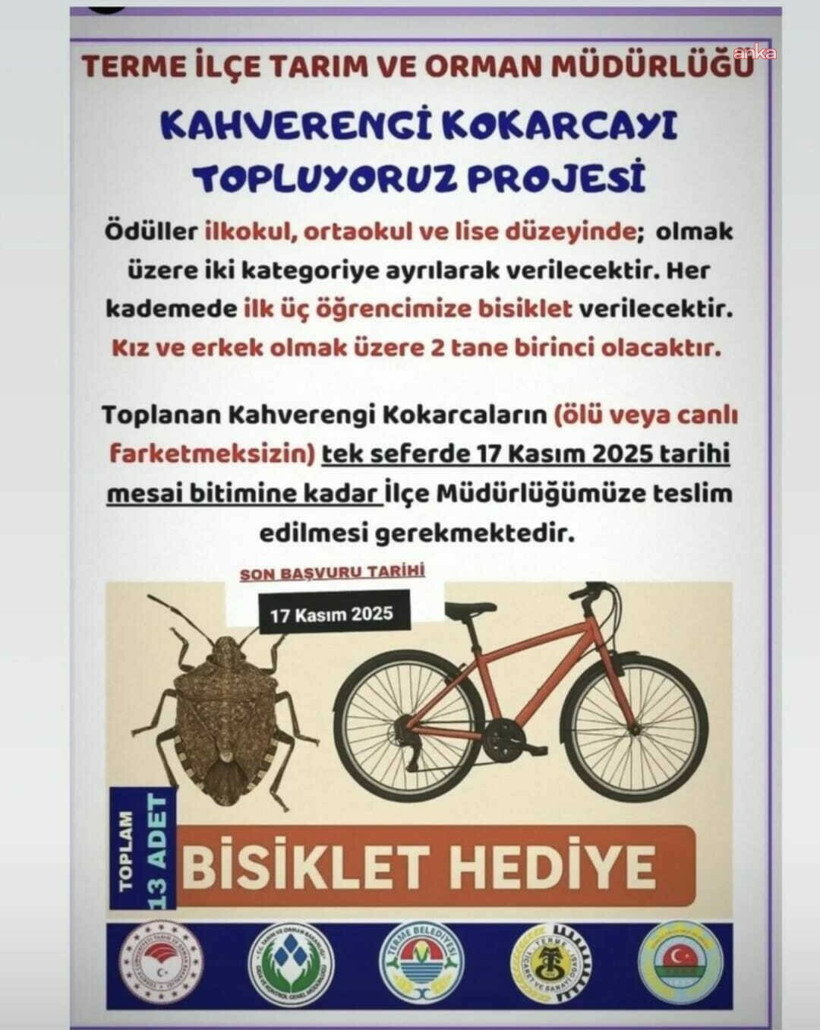 Kahverengi Kokarca Projesi