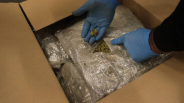 Sınırda yakalandı: Değeri 319 milyon 844 bin TL