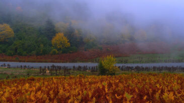 Sisler Arasında B&uuml;y&uuml;leyici Yolculuk