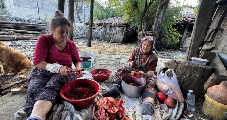 Sofraların Vazgeçilmezi: Kilosu 600 Lirayı Buldu