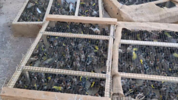 Son anda yakalandılar: 10 milyon 897 bin TL ceza kesildi