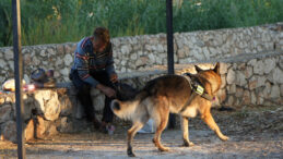 Su Kanalına D&uuml;şen Adam, K&ouml;peği Sayesinde Kurtarıldı