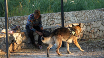 Su Kanalına D&uuml;şen Adam, K&ouml;peği Sayesinde Kurtarıldı