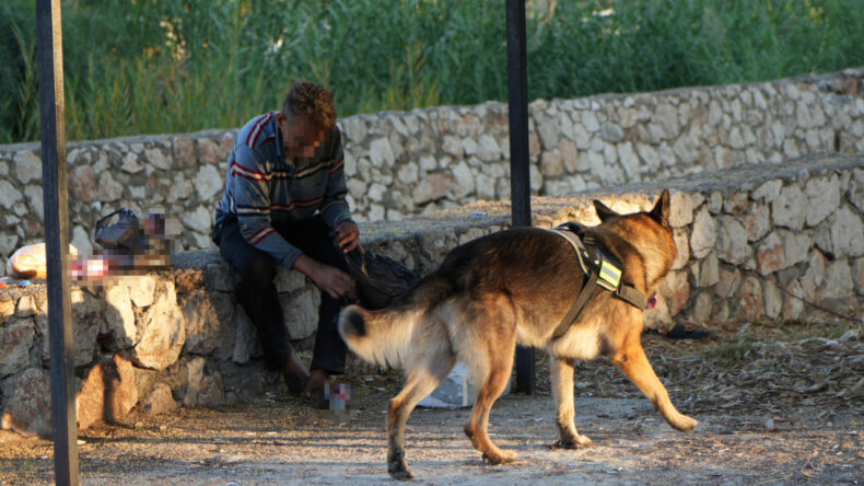 Su Kanalına Düşen Adam, Köpeği Sayesinde Kurtarıldı