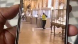 Tarihe Geçen Louvre Müzesi Soygunu: Sayıştay Raporu Güvenlik Skandalını Gözler Önüne Serdi