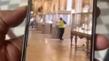 Tarihe Geçen Louvre Müzesi Soygunu: Sayıştay Raporu Güvenlik Skandalını Gözler Önüne Serdi