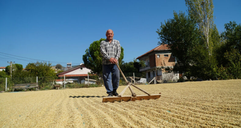 Tarlanın Enflasyonu 6 Ayın Zirvesinde