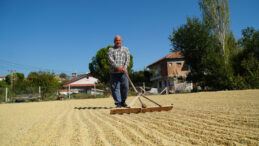 Tarlanın Enflasyonu Üç Aylık Zirvede