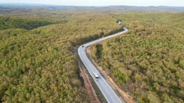 Tekirdağ Ormanlarında Sonbahar G&uuml;zelliği