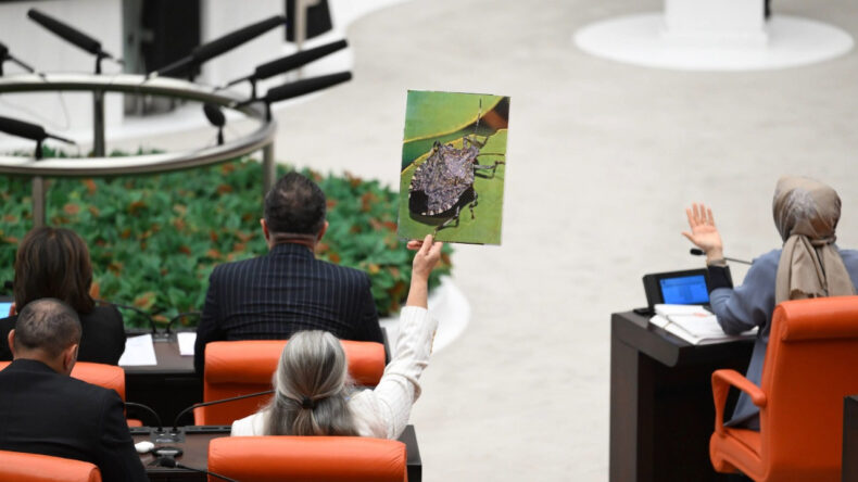 Tepki Büyüdü: Sayın Bakan, Hiç Elinize Kokarca Aldınız mı?