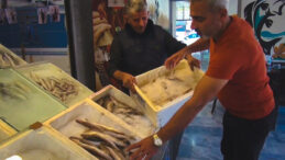 Tezgahlar dolup taşarken, fiyatlar 1500 TL'den 400 TL'ye düştü