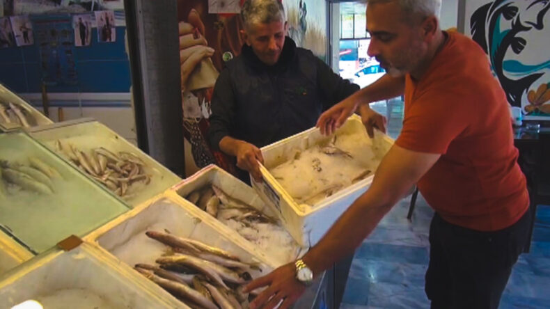 Tezgahlar dolup taşarken, fiyatlar 1500 TL'den 400 TL'ye düştü