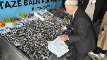 Tezgahta Hamsi Fırtınası: Fiyatlar D&uuml;şt&uuml;, Vatandaşlar Akın Etti
