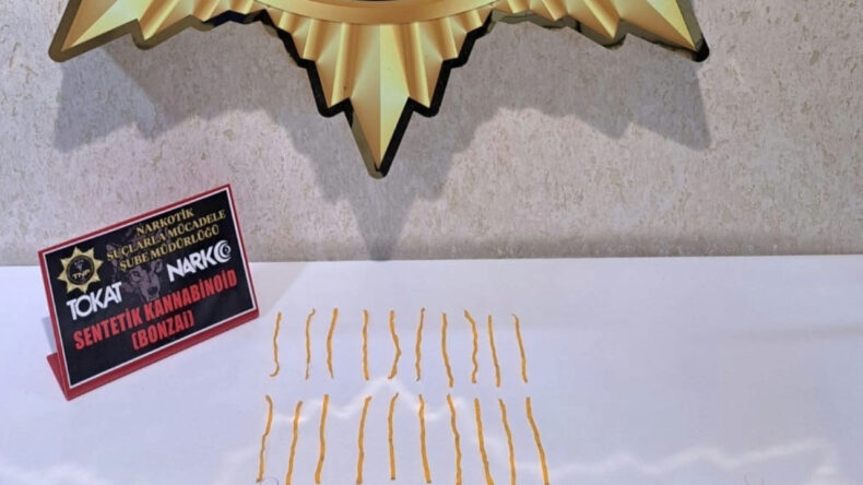 Tokat'ta Uyuşturucu Operasyonu: 1 Kişi Tutuklandı