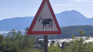 Trafik Levhalarına Saldırı