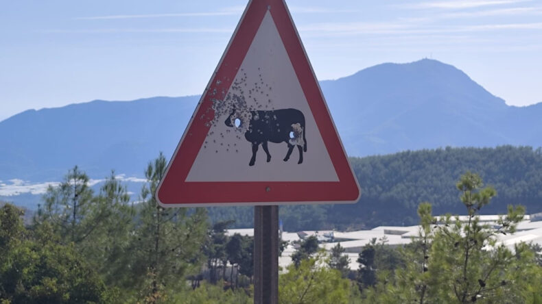 Trafik Levhalarına Saldırı