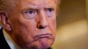 Trump'tan "Krallara Hayır" Eylemlerine Tepki