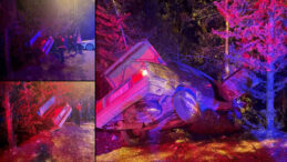 U&ccedil;uruma D&uuml;şmekten Bir Ağa&ccedil; Sayesinde Kurtuldular