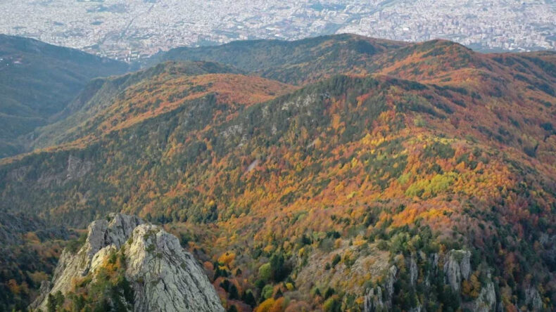 Uludağ Ormanlarında Kaybolan İki Kişi İ&ccedil;in Arama &Ccedil;alışmaları Başlatıldı
