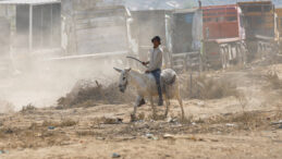 UNRWA: Gazze'de Domatesin Kilosu 15 Dolar