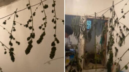 Uyuşturucu İle Yakalandı