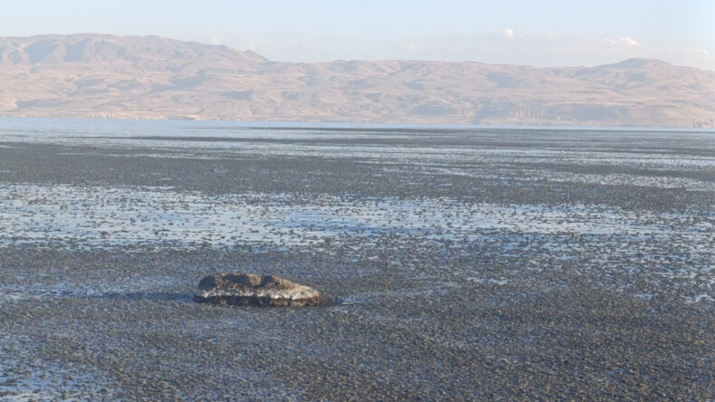 Van G&ouml;l&uuml; kıyılarında &uuml;zen g&ouml;r&uuml;nt&uuml;