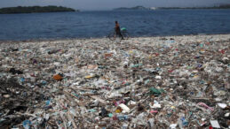 Yağmur Suyunda Mikroplastik Tespit Edildi