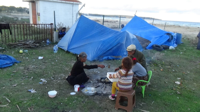 Yılbaşı Öncesi Kokina Toplama Çalışmaları Başladı