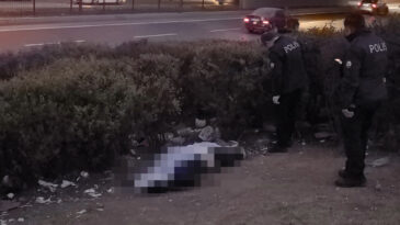 Yol Kenarında Erkek Cesedi Bulundu