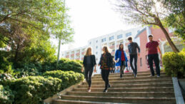 YÖK Başkanı'ndan 'Yaz Okulu' ile İlgili Açıklamalar