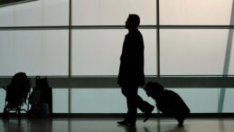 Yükseköğretimde Beyin Göçü Alanları Belli Oldu