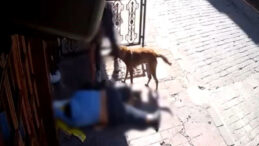 'Pes' Dedirten Olay! Sara N&ouml;beti Ge&ccedil;iren Kişinin Telefonunu &Ccedil;aldılar