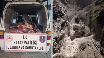 1 Ton Et Toprağa G&ouml;m&uuml;lerek İmha Edildi
