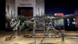 150 Milyon Yıllık Dinozor İskeletleri, Kara Para Soruşturmasına Takıldı