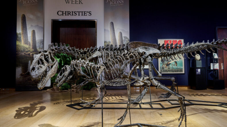 150 Milyon Yıllık Dinozor İskeletleri, Kara Para Soruşturmasına Takıldı