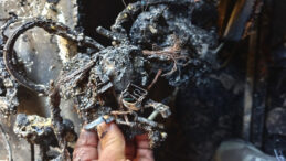 18 Yaşındaki Makbule Hayatını Kaybetti! Yangının Nedeni Belirlendi