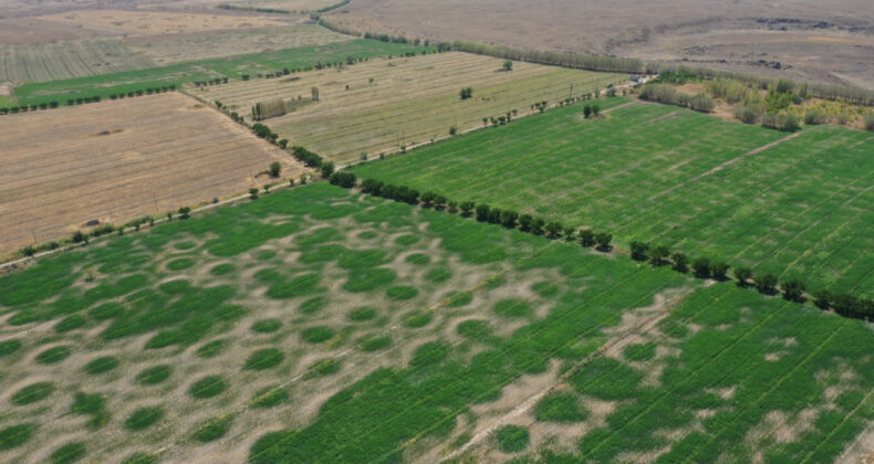 2026'da 64 Bin Hektar Alan Sulamaya A&ccedil;ılacak